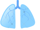 MEDICIÓN DE CAPACIDAD FISICA